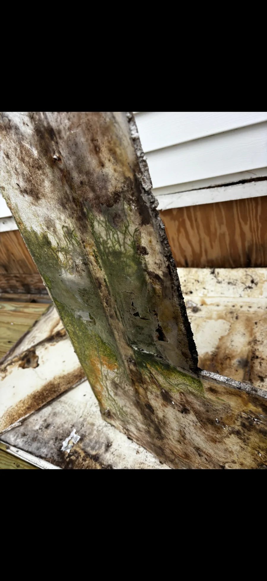 Deteriorated window flashing with mold and water staining from years of poor drainage